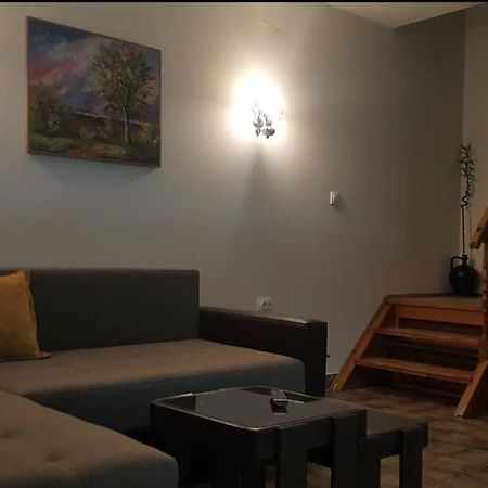 Kuca Ribarev San Villa Beocin Buitenkant foto